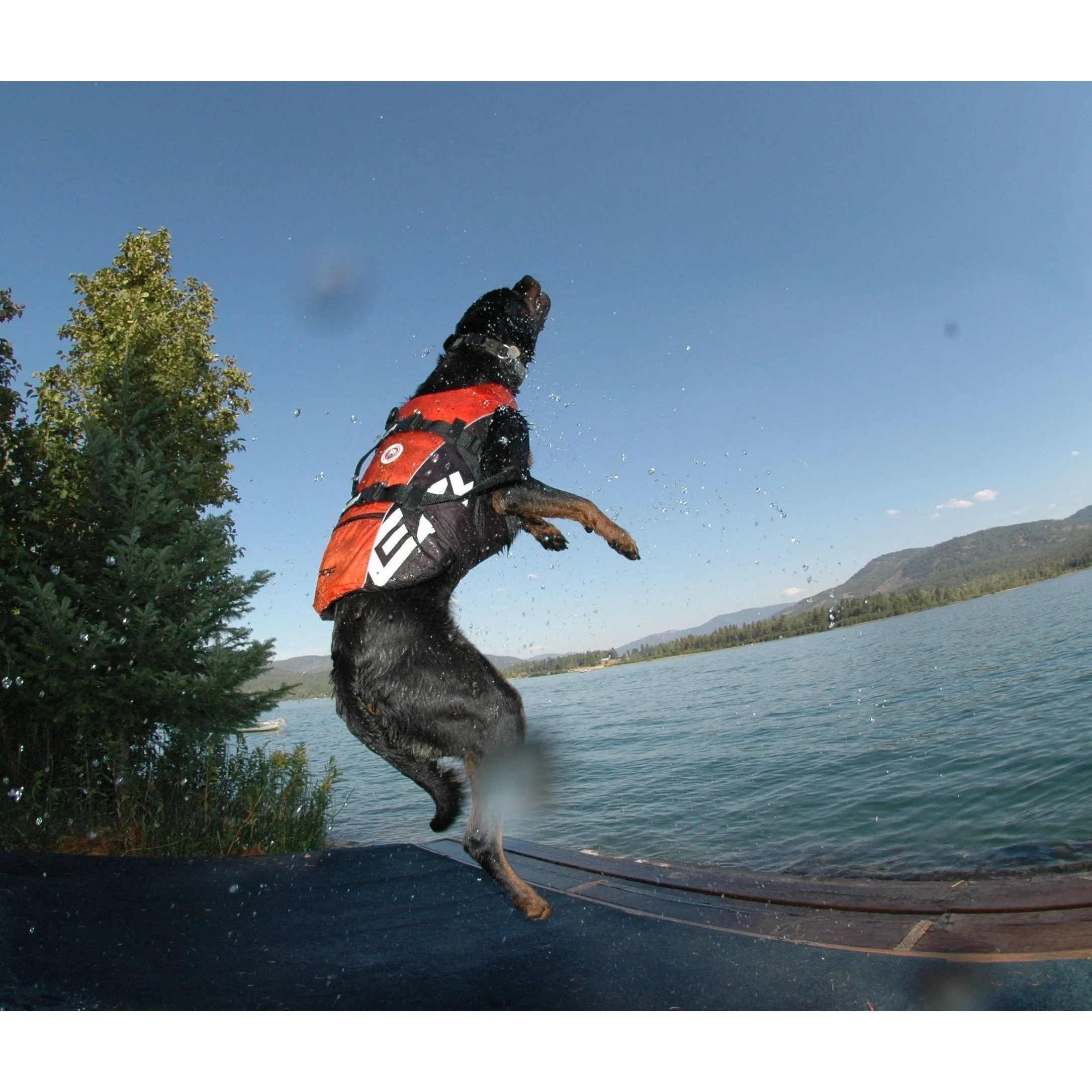 EzyDog DFD Dog Life Jacket Yellow Small