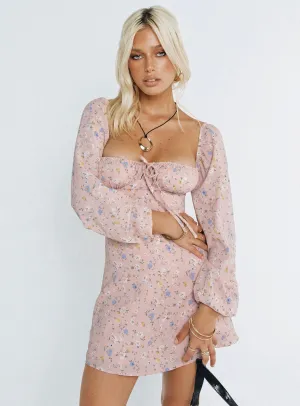 Graner Long Sleeve Mini Dress Pink Floral